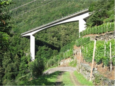 Valdone bridge in Valmalenco (SO)