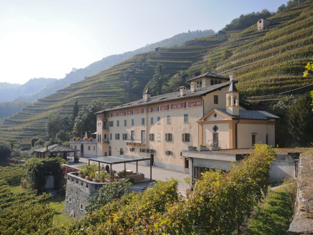 Azienda vinicola "La Gatta" a Bianzone (SO)