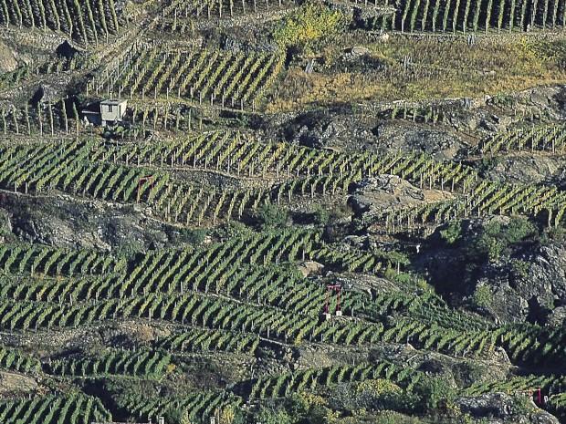 Versanti terrazzati vitati della media Valtellina 