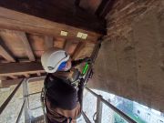 Esecuzione di indagini sulle strutture lignee Esecuzione di indagini sulle strutture lignee